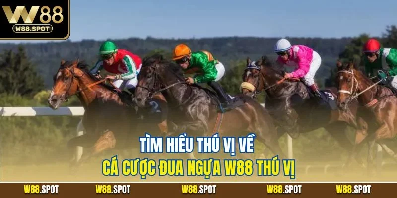 Tìm hiểu thú vị về cá cược đua ngựa W88 thú vị