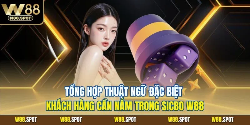 Tổng hợp thuật ngữ đặc biệt khách hàng cần nắm trong Sicbo W88